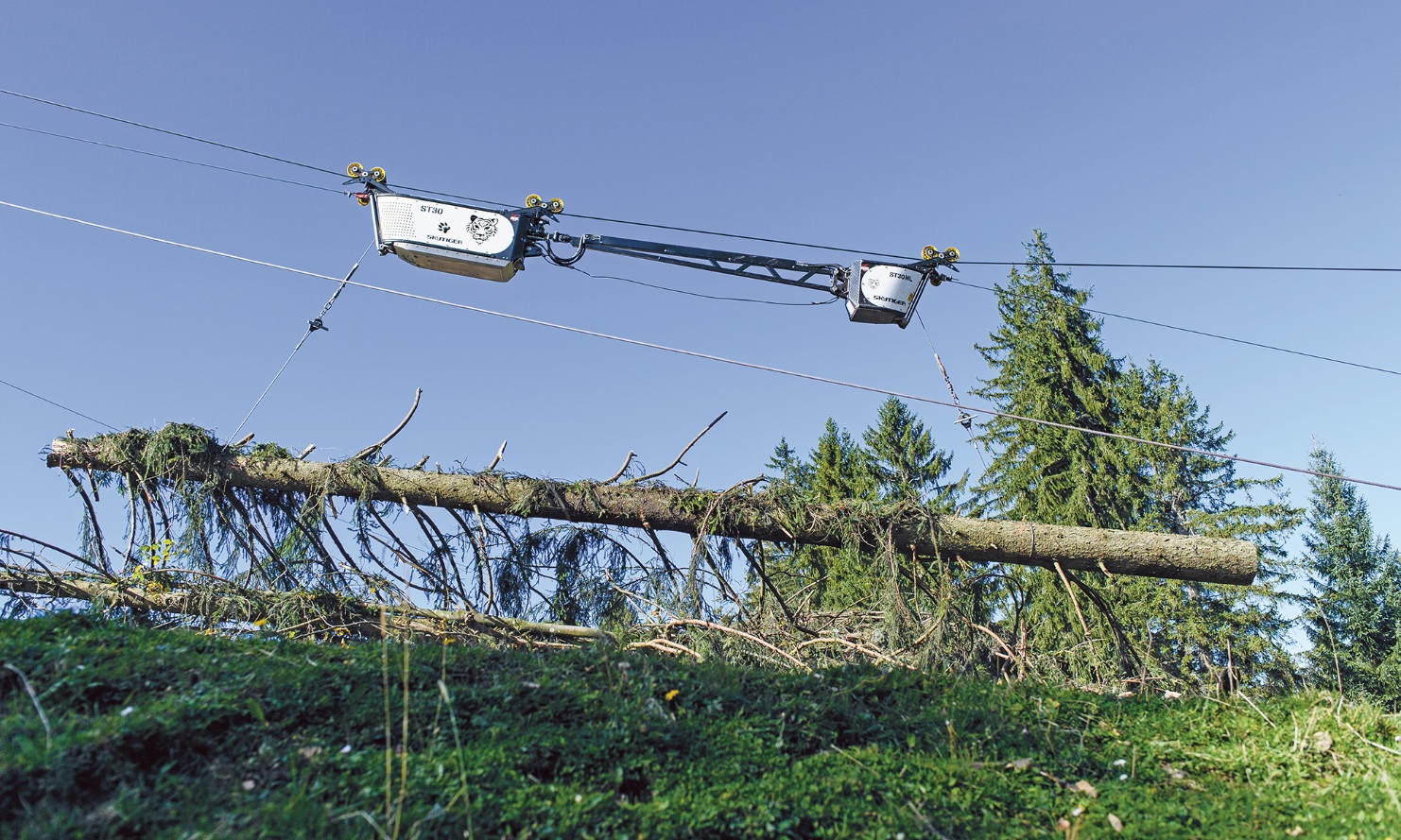 Winch for logs