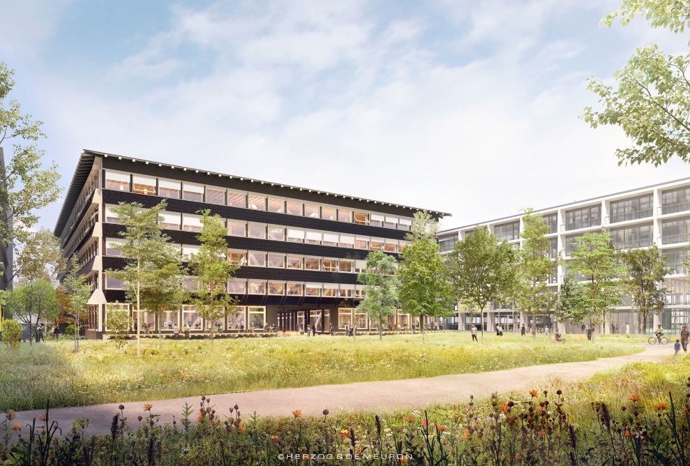 Hortus office building in timber construction with green surroundings 